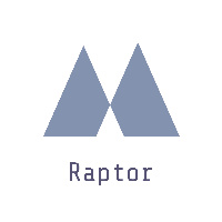 Raptor Llc